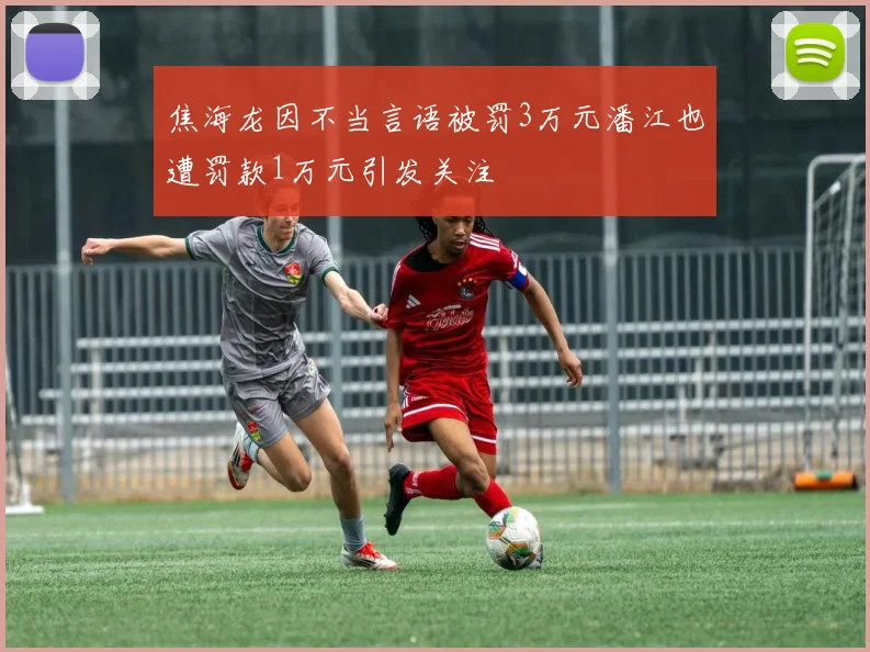 焦海龙因不当言语被罚3万元潘江也遭罚款1万元引发关注